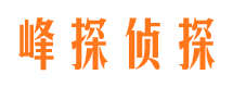 江海婚外情调查取证